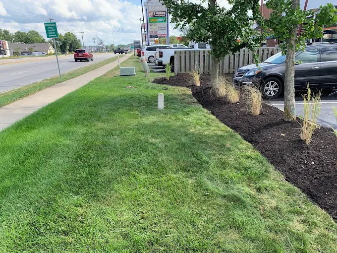 Grassy sidewalk strip adjacent to parking lot